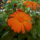DSCN0304.JPG