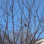 DSCN8904.JPG