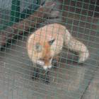DSCN4816.JPG