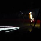 DSC07310.JPG