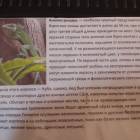 Выставка зоопарк "Живые тропики"60535