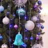 DSCN6512.JPG
