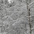 IMG_20171207_131109