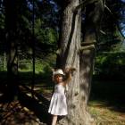 DSCN1596.JPG