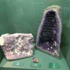 DSCN8531.JPG