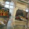 DSC04285.JPG