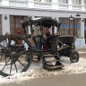 Айболит22713