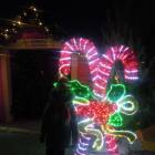 DSCN6712.JPG