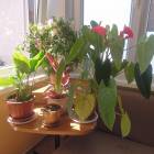 DSCN0561.JPG