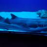 IMG_20160828_103251