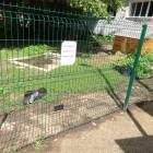 DSC05945.JPG