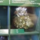 DSCN8537.JPG