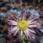 DSCN5044.JPG