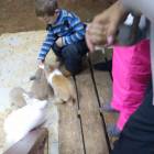 IMG_20171102_155753