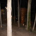 IMG_5446.JPG