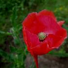DSCN0570.JPG