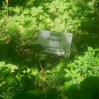 DSCN1608.JPG