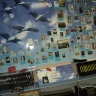 DSC04880.JPG