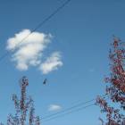IMG_3861.JPG