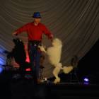 DSC08734.JPG
