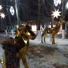 IMG-20171215-WA0029