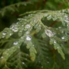 DSCN0309.JPG