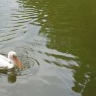 20190623_153119