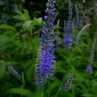 DSCN0359.JPG