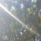 20180815_145459