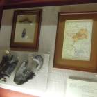 DSCN8815.JPG