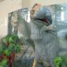 DSC05112.JPG