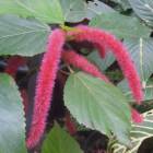 DSCN4789.JPG