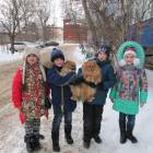 Прогулка с друзьями137626
