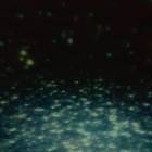 20191208_132010