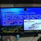 IMG_20171112_192531