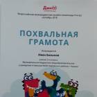 Портфолио 2018-2019