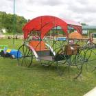 DSCN8505.JPG