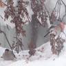 DSC04424.JPG