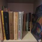 Моя книжная полка.100164