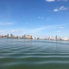 IMG_6531.JPG