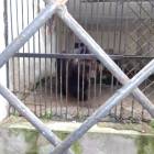 DSC05934.JPG