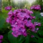 DSCN0321.JPG