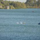 DSCN4675.JPG
