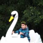 DSC06037.JPG