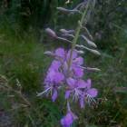 DSCN0297.JPG