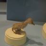 DSCN6838.JPG