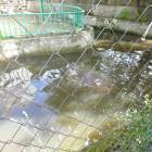 DSC05946.JPG