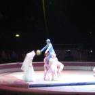Цирк Карины и Артура Багдасаровых134041