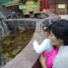 IMG_20171102_155037
