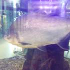IMG_20160828_083637
